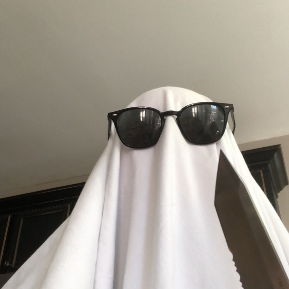 Meet your Posher, Aara